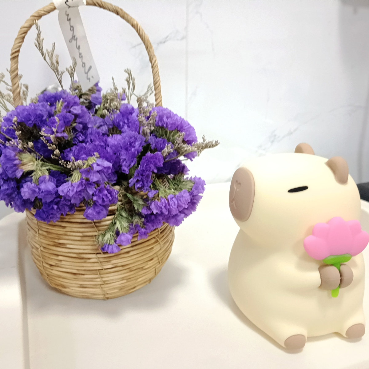 Veilleuse Capybara – Lampe LED Rechargeable en Silicone Souple